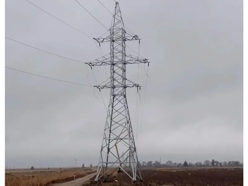 تعليقات العملاء من ماو تونغ